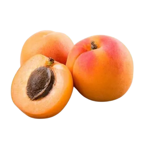 Apricot