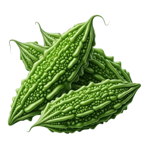 Bitter Gourd