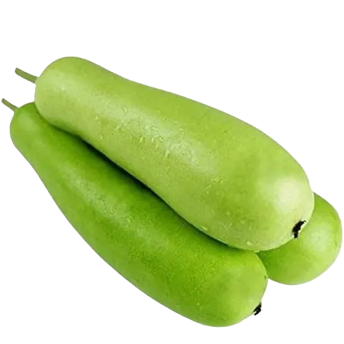 Bottle Gourd