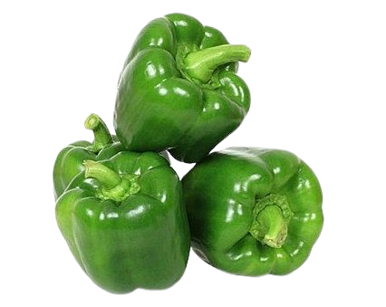 Capsicum