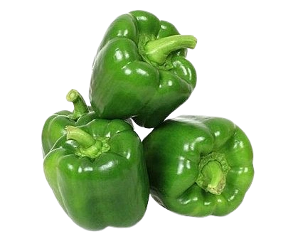 Capsicum
