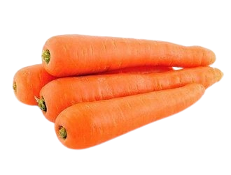 Carrot