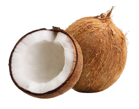 Coconut