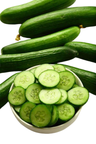 Cucumber