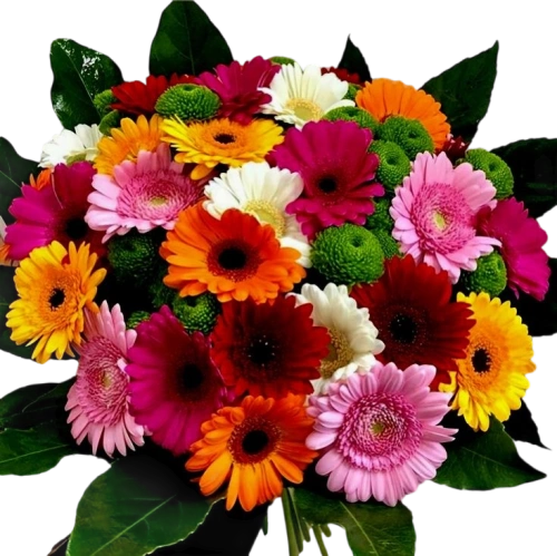 Gerbera Bouquet
