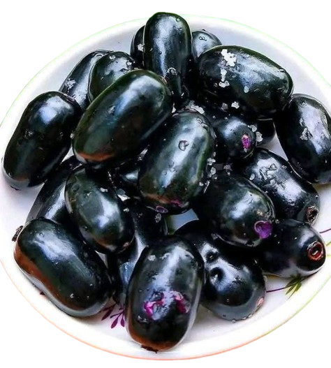 Jamun Fruit