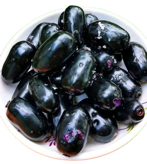 Jamun Fruit
