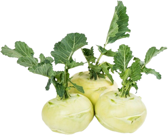Kohlrabi