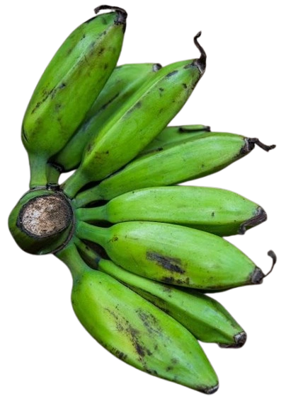 Plantain