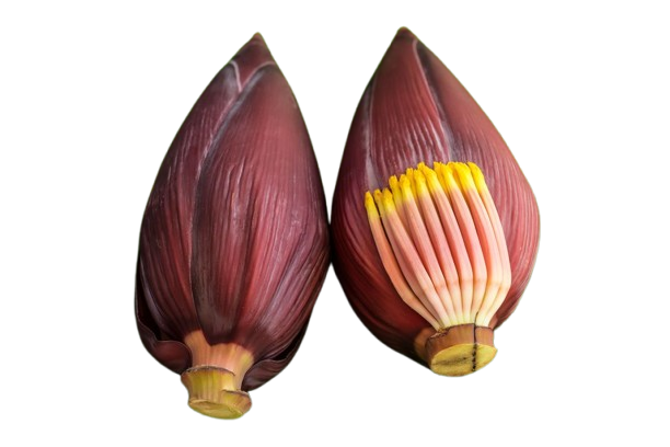 Plantain Flower