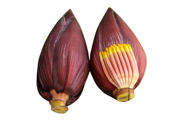 Plantain Flower