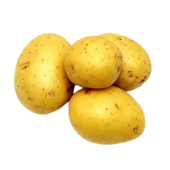 Potato