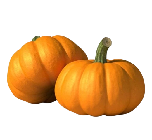 Pumpkin