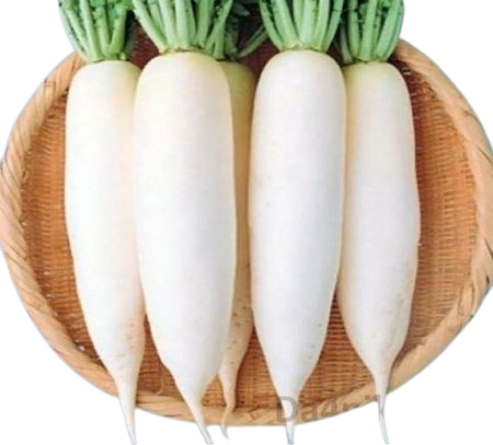 Radish