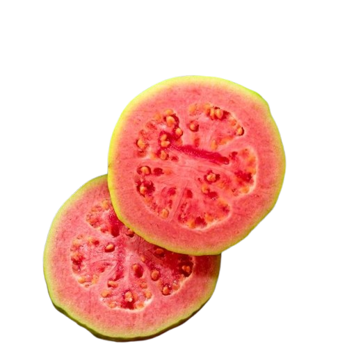 Red Guava