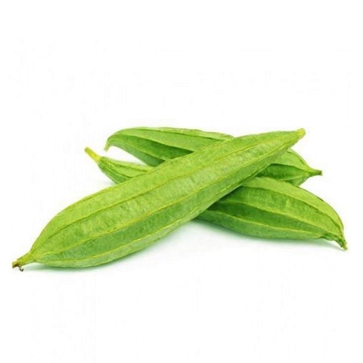 Ridge Gourd