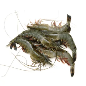 Small Prawns