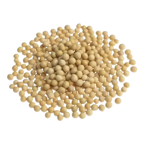 Soya Beans