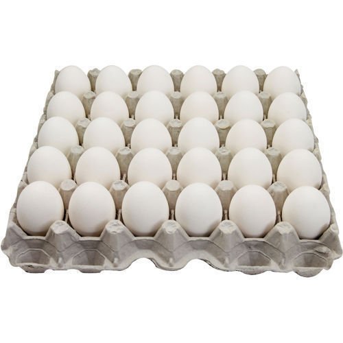 White Eggs